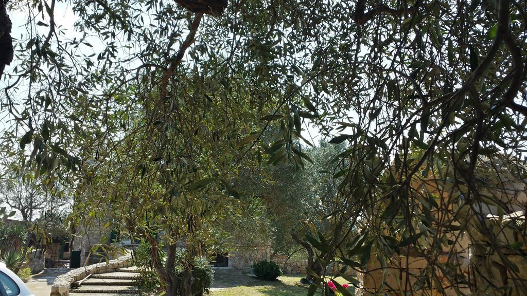 Villa Minteco Пату Екстер'єр фото