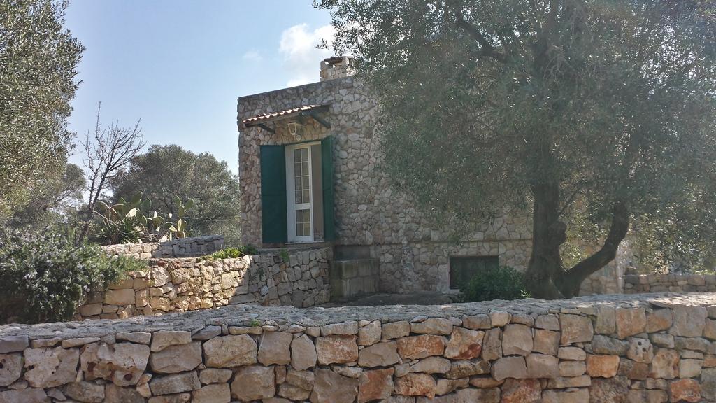 Villa Minteco Пату Екстер'єр фото